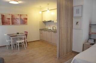 Апартаменты Apartmani Art Karampana Котор Номер-студио Делюкс-8